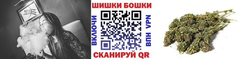 Марихуана план  Купить где  Мончегорск 